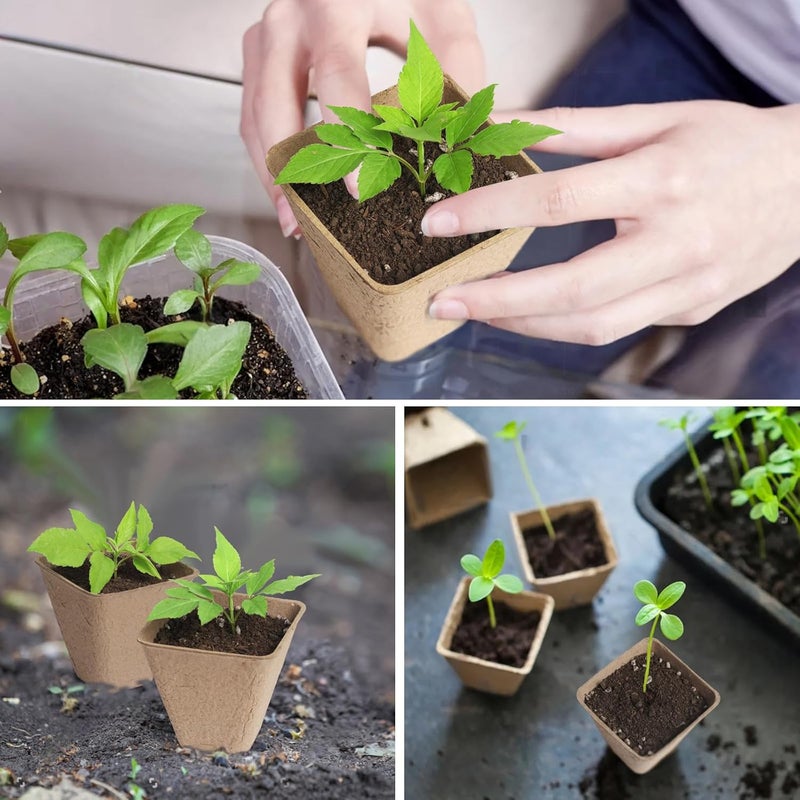 KOAMLY Square Peat Nursery Pots 150 Pcs 3in Biodegradable and Label, Used for Outdoor Gardens in Plant Nurseries - Image 5